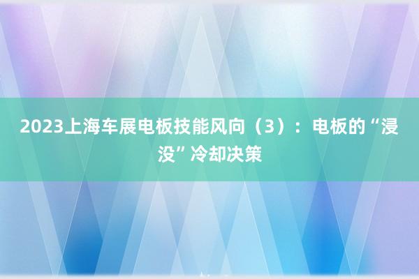 2023上海车展电板技能风向（3）：电板的“浸没”冷却决策