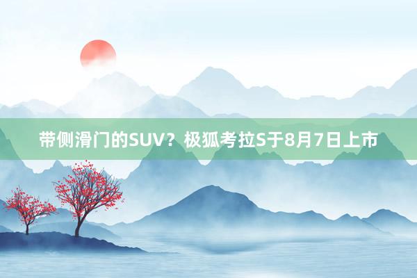 带侧滑门的SUV？极狐考拉S于8月7日上市