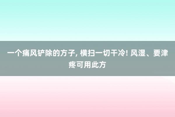 一个痛风铲除的方子, 横扫一切干冷! 风湿、要津疼可用此方