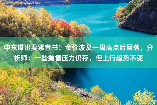 中东爆出要紧音书！金价波及一周高点后回落，分析师：一些抛售压力仍存，但上行趋势不变