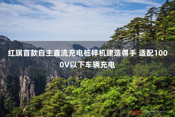 红旗首款自主直流充电桩样机建造得手 适配1000V以下车辆充电