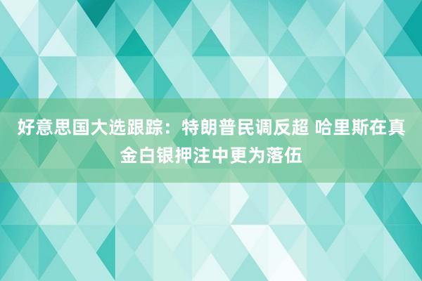 好意思国大选跟踪：特朗普民调反超 哈里斯在真金白银押注中更为落伍