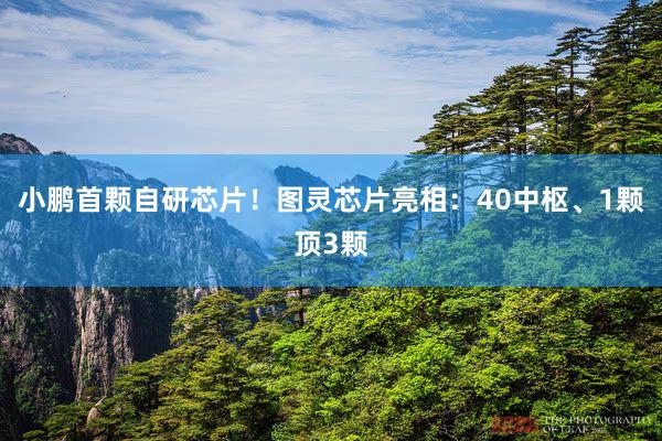 小鹏首颗自研芯片！图灵芯片亮相：40中枢、1颗顶3颗