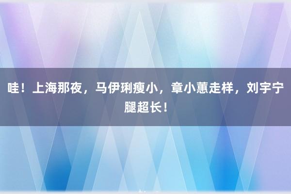 哇！上海那夜，马伊琍瘦小，章小蕙走样，刘宇宁腿超长！