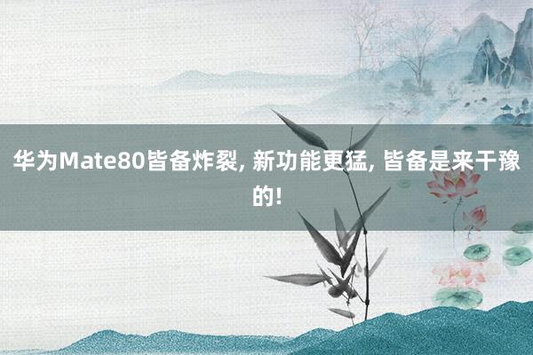 华为Mate80皆备炸裂, 新功能更猛, 皆备是来干豫的!