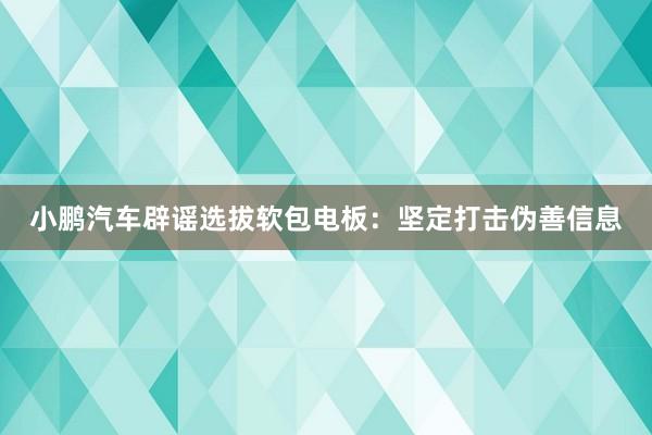 小鹏汽车辟谣选拔软包电板：坚定打击伪善信息